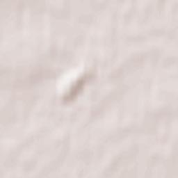 Pinerovka Terrain Map