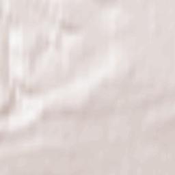 Krasnyy Oktyabr’ Terrain Map