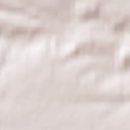 Schochwitz Terrain Map