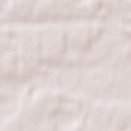 Slavutych Terrain Map