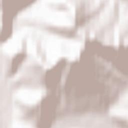 Topol’noye Terrain Map