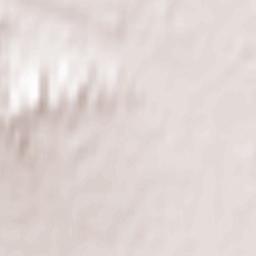 Shagonar Terrain Map