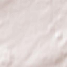 Holzwickede Terrain Map