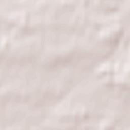 Hohenleipisch Terrain Map