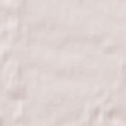 Sędziejowice Terrain Map