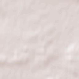 Wolbórz Terrain Map