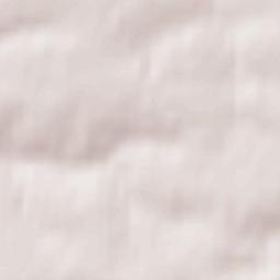 Chernitsyno Terrain Map