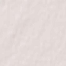 Rubtsovskiy Rayon Terrain Map