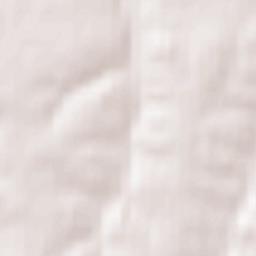 Svobodnenskiy Rayon Terrain Map