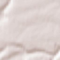 Marshfield Terrain Map