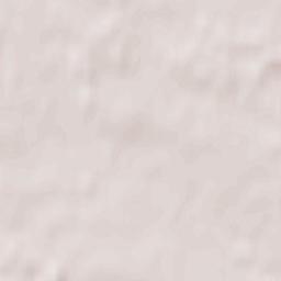 Drużbice Terrain Map