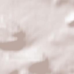 Bleicherode Terrain Map