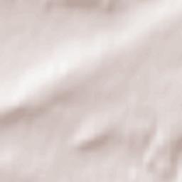 Farnstädt Terrain Map