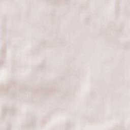 Gozdnica Terrain Map