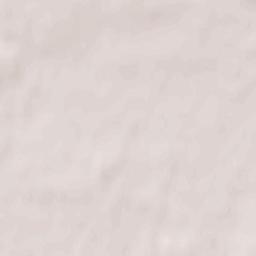 Rusinów Terrain Map