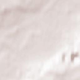 Brockley Terrain Map