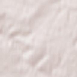 Chislehurst Terrain Map