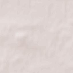 Ścinawa Terrain Map