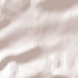 Altenbüren Terrain Map