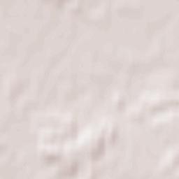 Powiat wołowski Terrain Map