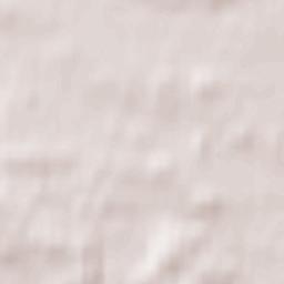 Międzybórz Terrain Map