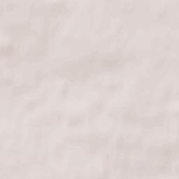 Wolanów Terrain Map