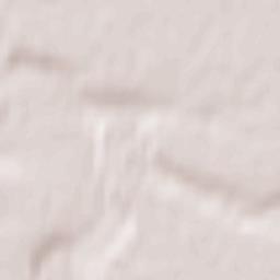 Stepnoye Terrain Map