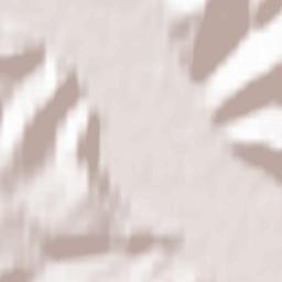 Charyshskoye Terrain Map