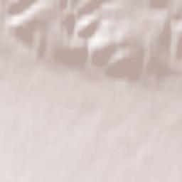 Bad Frankenhausen Terrain Map