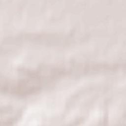 Borkowice Terrain Map