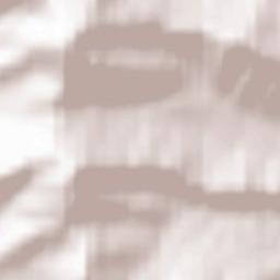 Shebalinskiy Rayon Terrain Map