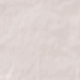 Skaryszew Terrain Map