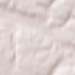 Wąwolnica Terrain Map