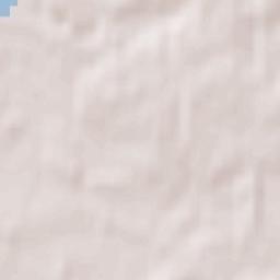 Manevychi Terrain Map