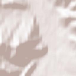 Shebalino Terrain Map