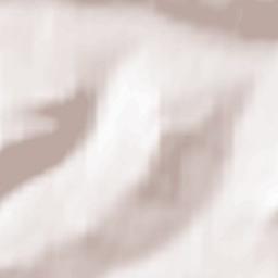 Nerchinskiy Zavod Terrain Map