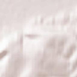 Edington Terrain Map