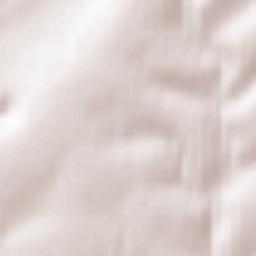 Market Lavington Terrain Map