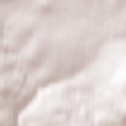 Martinhagen Terrain Map