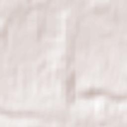 West Clandon Terrain Map