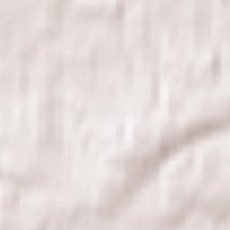 West Horsley Terrain Map