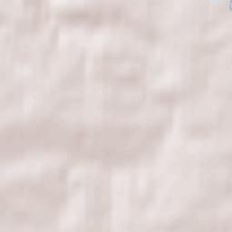 Mutzschen Terrain Map