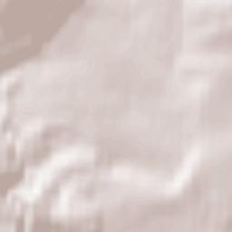 Niedenstein Terrain Map