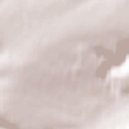 Bad Bibra Terrain Map