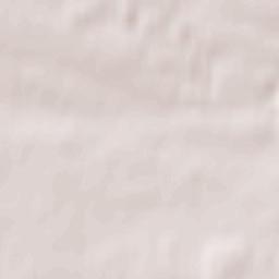 Kozubszczyzna Terrain Map