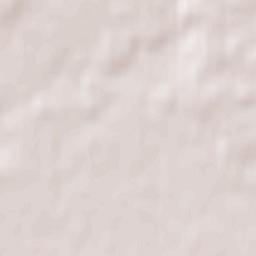 Olevs’k Terrain Map