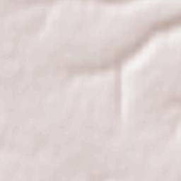 Rogovatoye Terrain Map