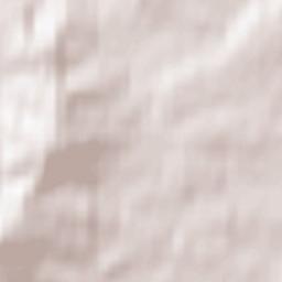 Holmwood Terrain Map