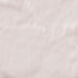 Espenhain Terrain Map