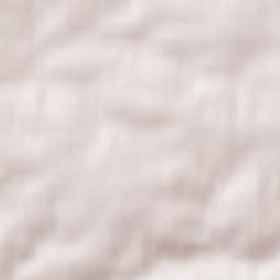 Bockelwitz Terrain Map